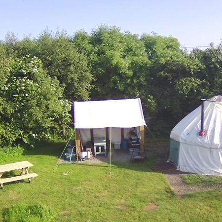 Mill Haven Place Glamping-Yurt 1 Talbenny Extérieur photo