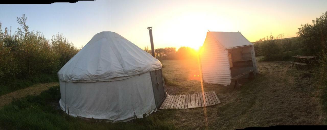 Mill Haven Place Glamping-Yurt 1 Talbenny Extérieur photo