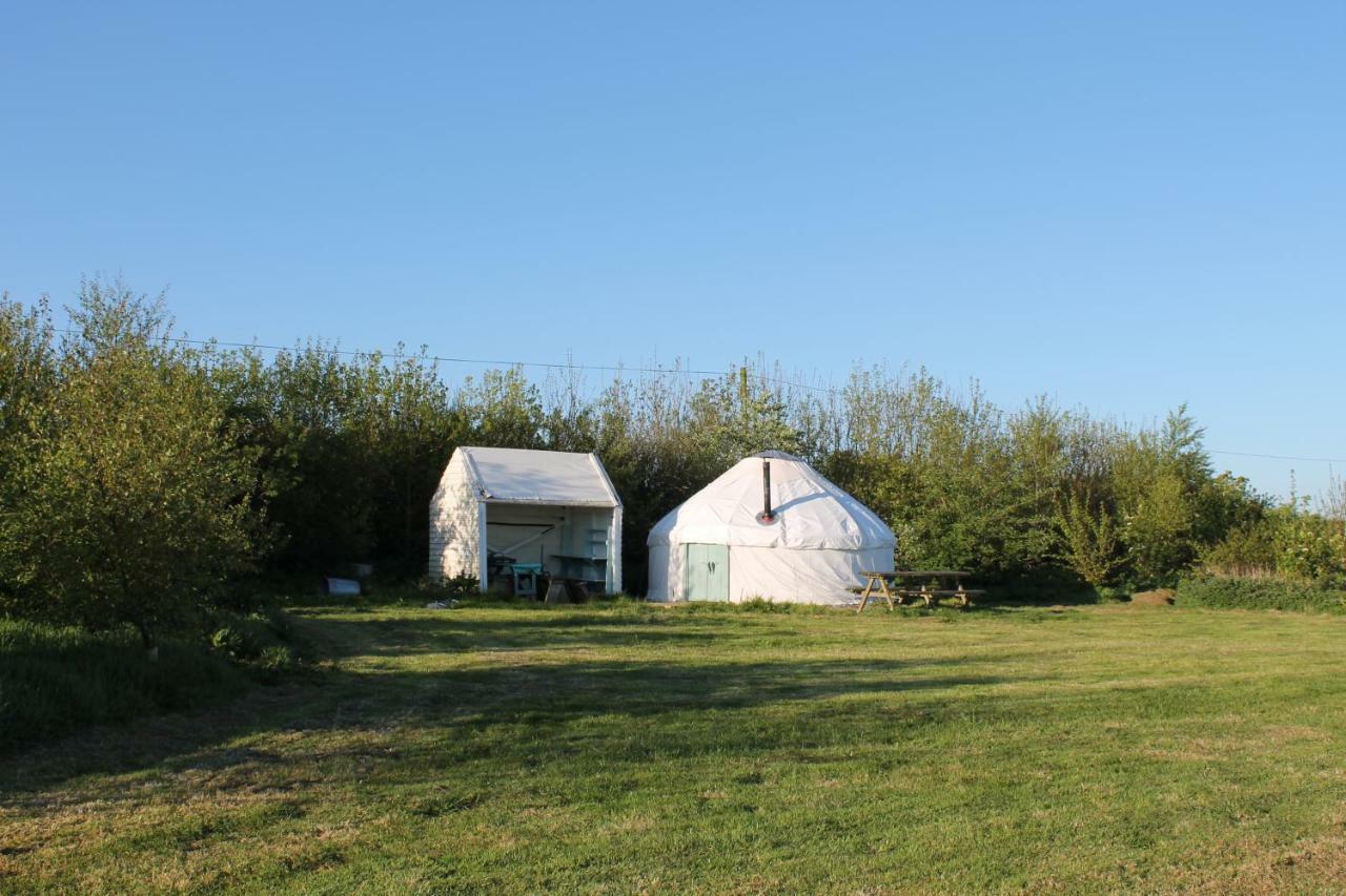 Mill Haven Place Glamping-Yurt 1 Talbenny Extérieur photo