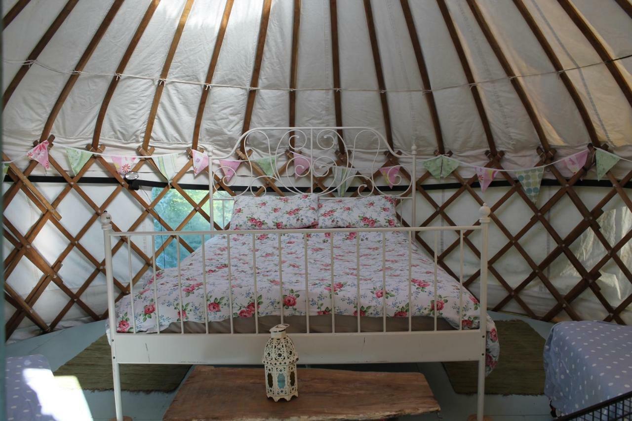 Mill Haven Place Glamping-Yurt 1 Talbenny Extérieur photo