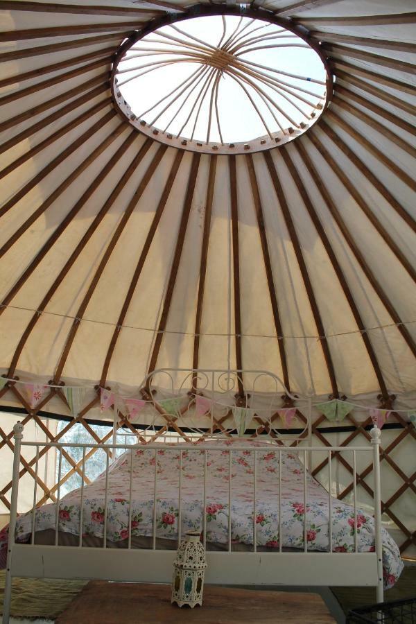 Mill Haven Place Glamping-Yurt 1 Talbenny Extérieur photo