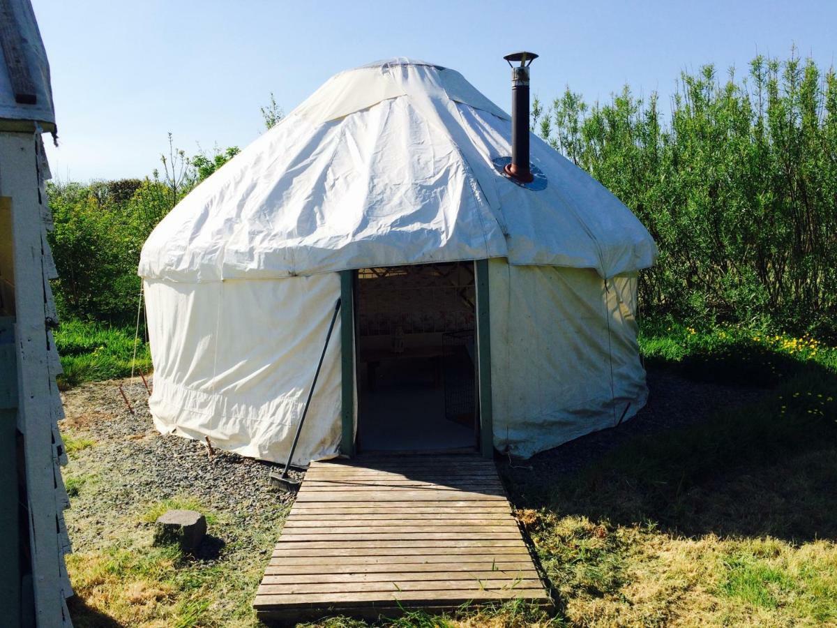Mill Haven Place Glamping-Yurt 1 Talbenny Extérieur photo