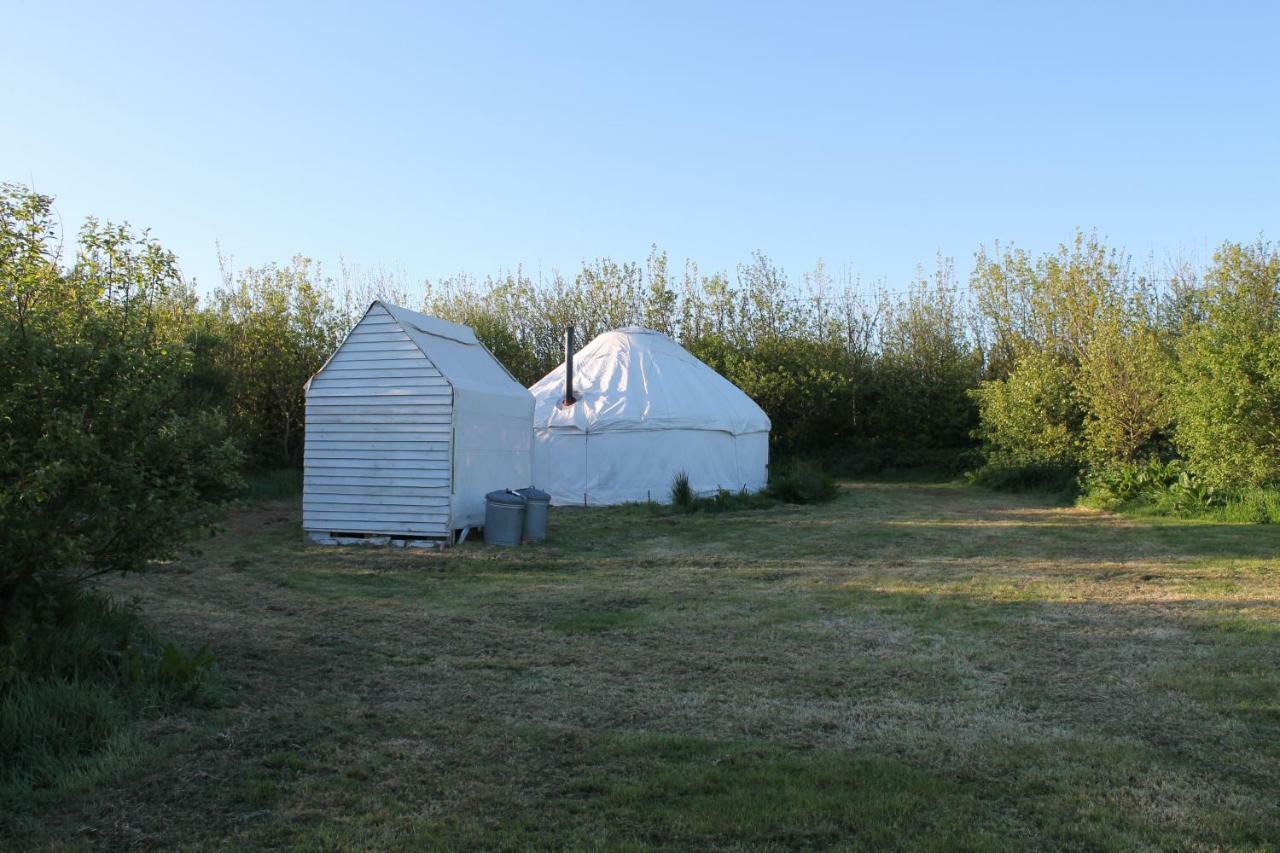 Mill Haven Place Glamping-Yurt 1 Talbenny Extérieur photo