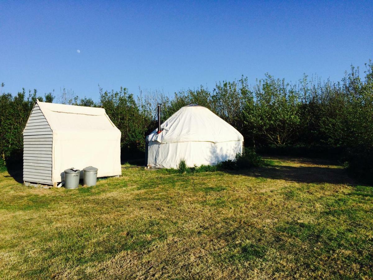 Mill Haven Place Glamping-Yurt 1 Talbenny Extérieur photo